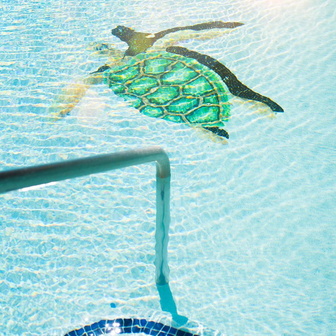 Sea Of Cortez Beach Club San Carlos Nuevo Guaymas Esterno foto